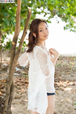 美国派7