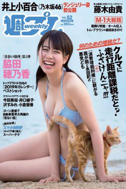 雪迷宫 电视剧